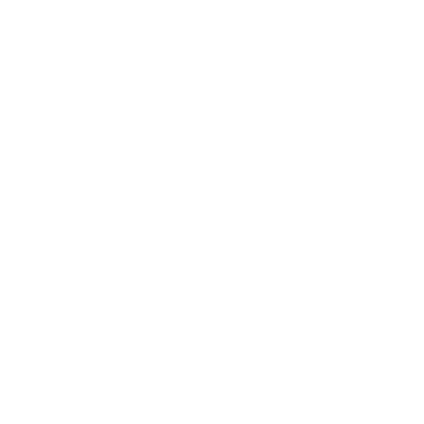 SKYNEX